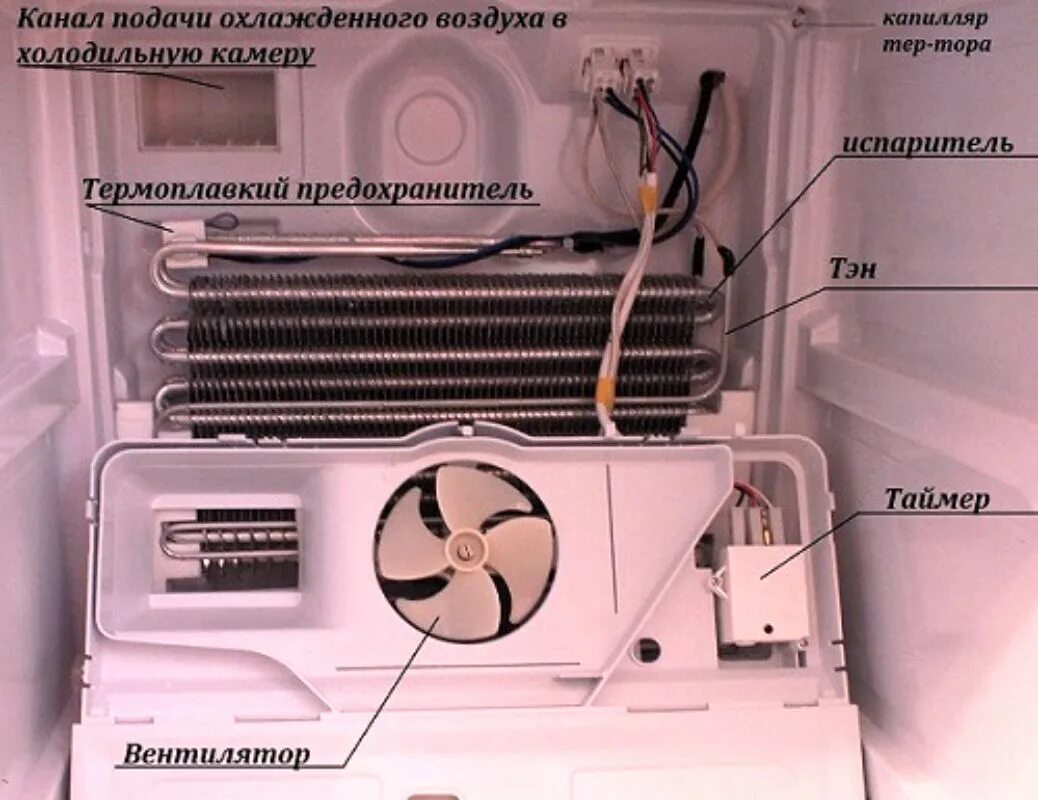 Замена термостата индезит. Индезит ноу Фрост система. Вентилятор для морозильной камеры Индезит ноу Фрост.