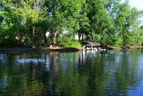Тамбовская область село ярославка