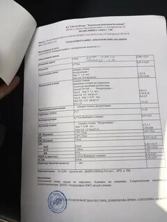 Порок анализ