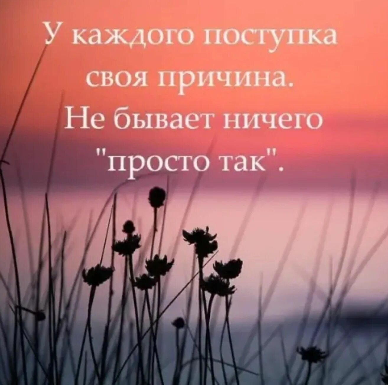 Нечего бывает. Ничего не бывает просто так цитаты. простые цитаты. просто цитаты. просто так цитаты.