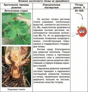 Клубника какую почву любит кислую или щелочную