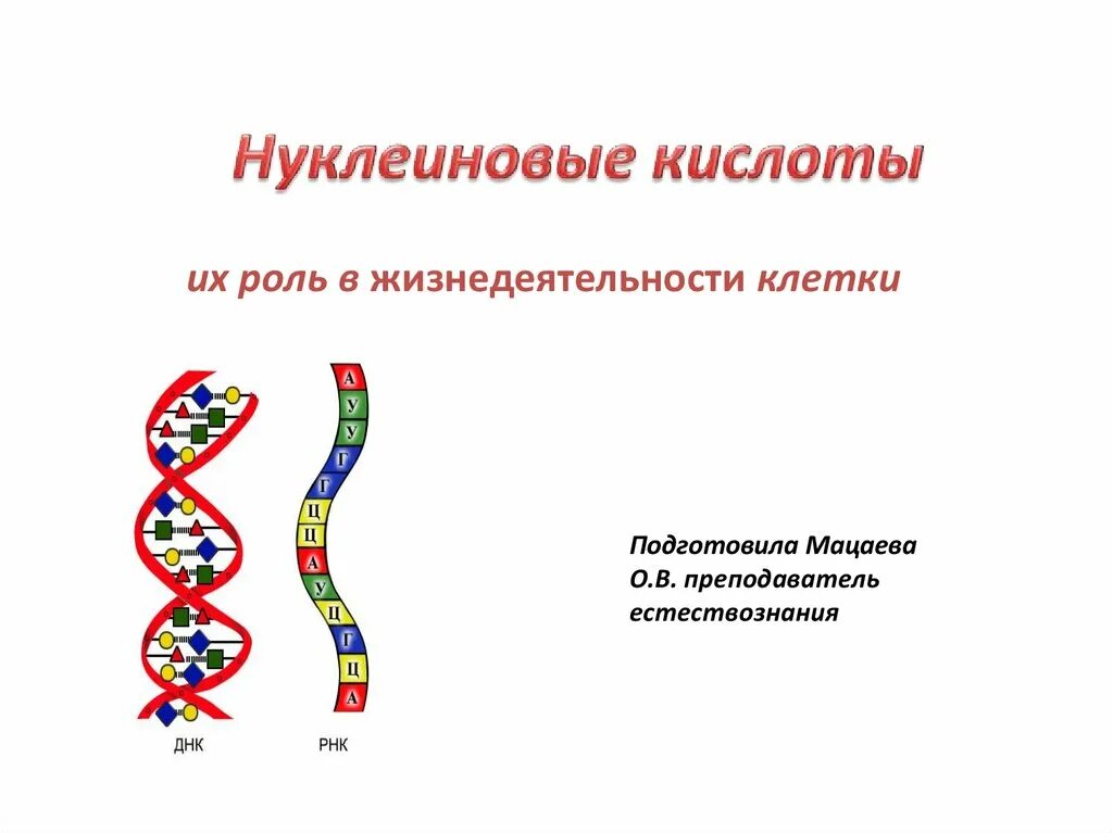 Нуклеиновые кислоты. Строение нуклеиновых кислот. Нуклеиновые кислоты презентация.