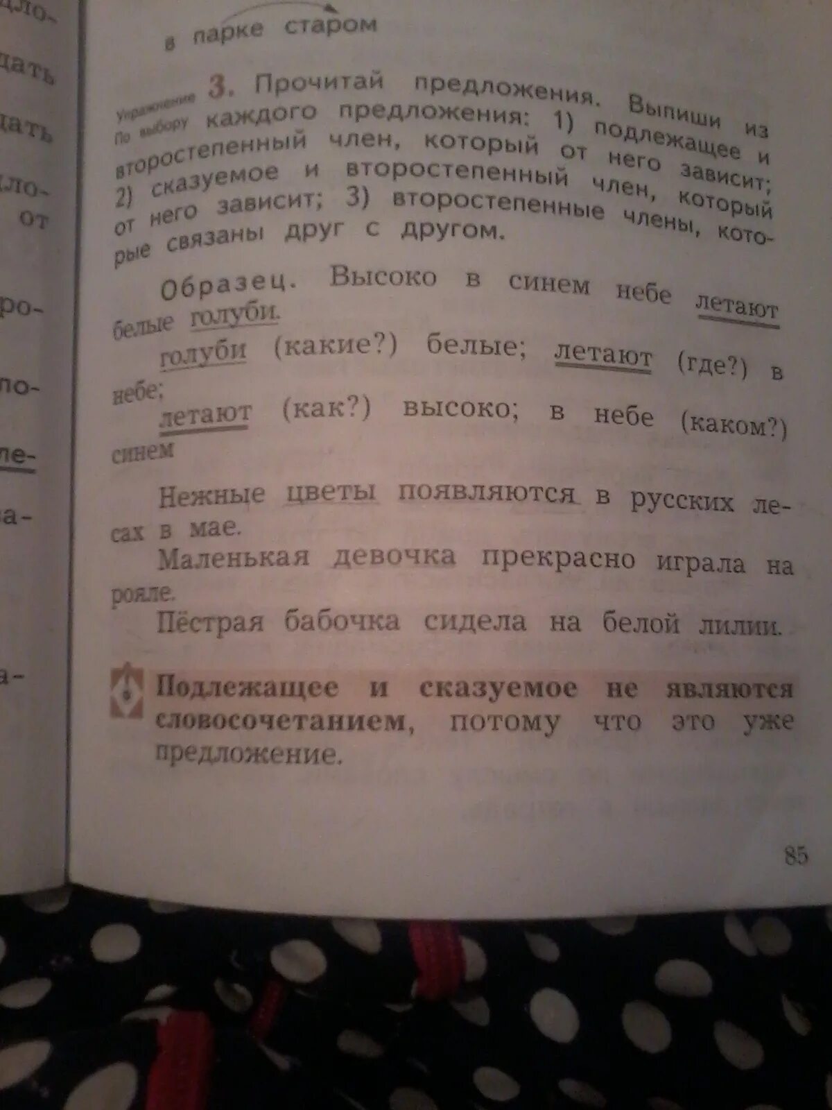 Прочитай предложения. Выпиши. Прочитай выпиши из. Выпиши 1 предложение. Выпиши из текста 1 предложение.