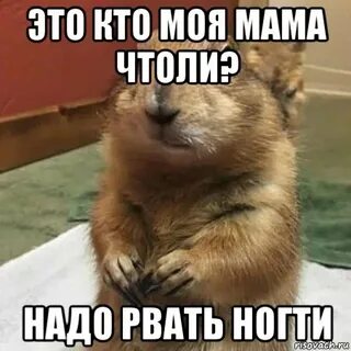 Извините не сможем придти