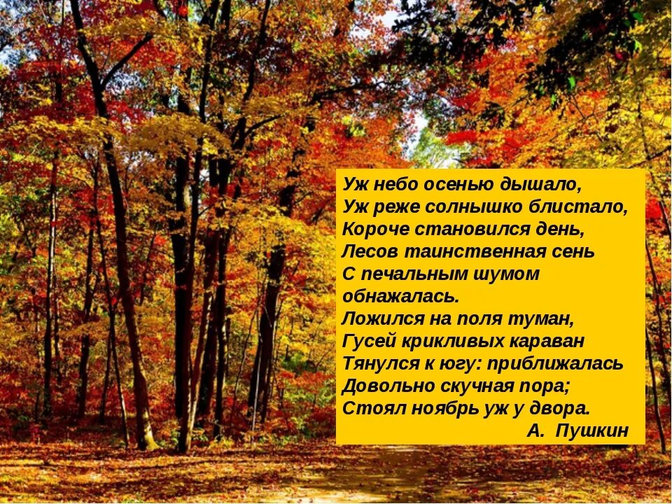 Стали дни давно короче текст. Стихи Пушкина про осень. Уж небо осенью дышало. Уж небо осенью дышало Пушкин. Стихотворение Пушкина про осень.