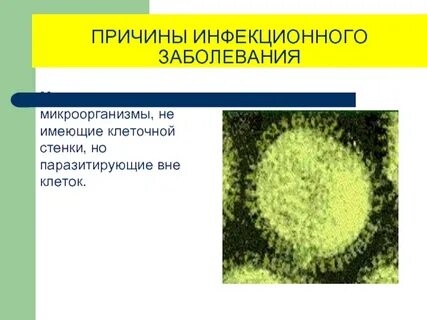 Чем вызваны инфекционные заболевания