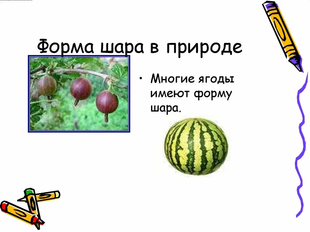 Кто доказал форму шара. Форма шара в природе. Сфера и шар в природе. Предметы имеющие форму шара. Шар в природе примеры.