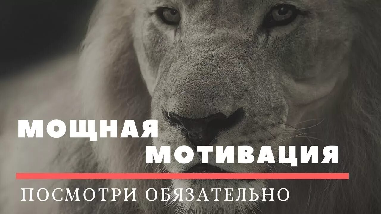 Мощный стимул. Сильнейшая мотивация. Мощная мотивация. Мощный мотиватор. Мощнейшая мотивация.