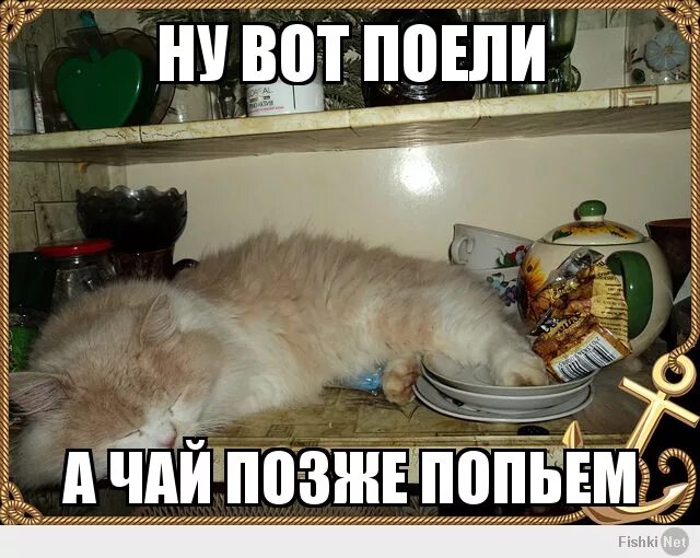 Пошла поесть. Смешная открытка поесть и спать. ну вот и поели. ну вот и поели кот. спасибо я наелась.