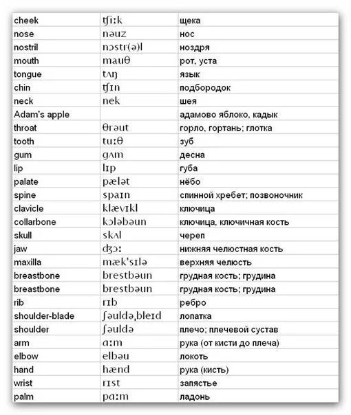 Слова на английском языке с переводом части тела. Части тела на английском языке произношение. Части тела на английском таблица с переводом. Части тела на английском с транскрипцией на английский.