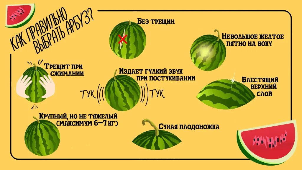 Части арбуза названия. Сладкий Арбуз. Арба. Происхождение арбуза. График арбуз