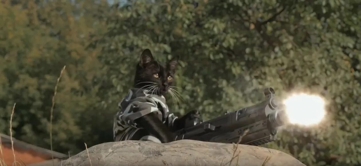 Зомби кот cyriak. Кот против зомби. Кот против зомби. Видео кот зомби. Коты против.