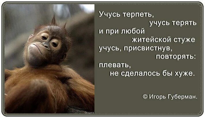 Учимся терпению