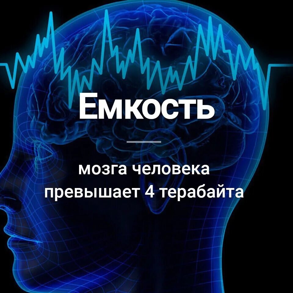 Сколько в мозгах памяти. Мозг и память человека. Объем памяти мозга. Объём памяти человеческого мозга. Ёмкость мозга человека в терабайтах.