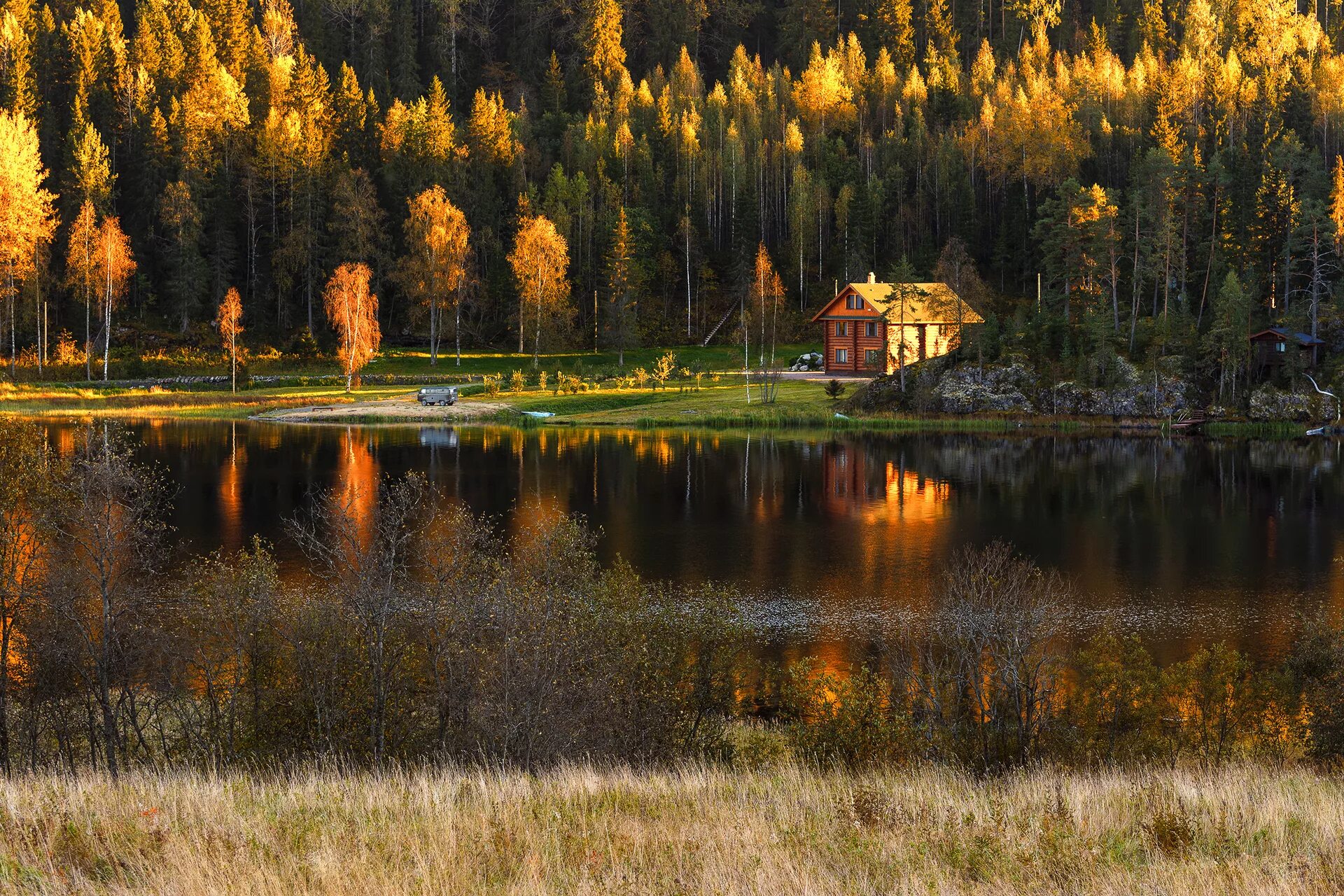 где то за лесом жила. атмосферный лес. человек в хвойном лесу. подлесок тайги. лес наше богатство.