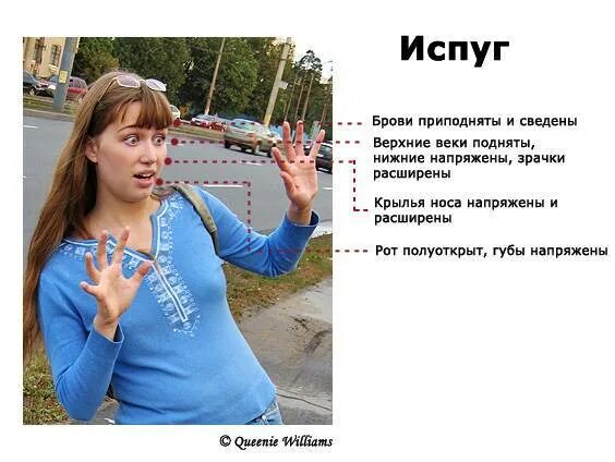 Как лечить испуг. Испуг у взрослого человека. сильный испуг у взрослых. испуг симптомы. испуг у взрослого симптомы.
