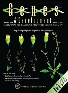 Key plant