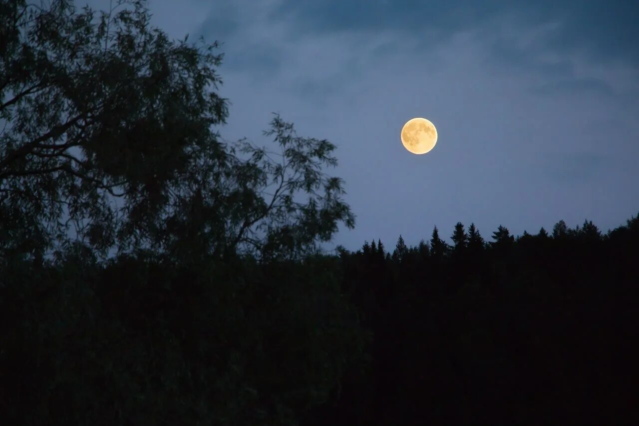 Днем высокое ночью низкое. Фото Луны. Луна настоящая. Полная Луна. Полная Луна с земли.