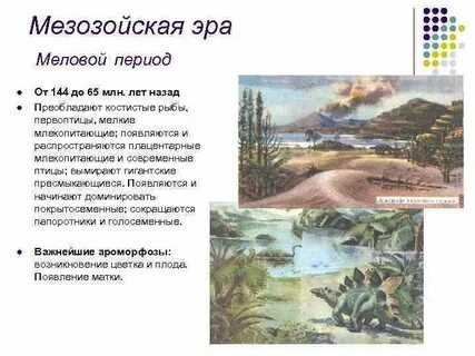 Мезозойская область полезные ископаемые