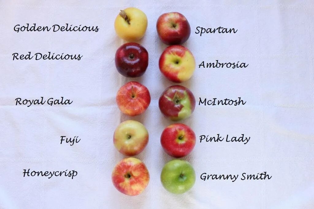 Сколько калорий в одном зеленом яблоке. Калорийность красного яблока 100г. Яблоко зеленое калорийность в 1 штуке. Сколько калорий в 100 граммах яблока. Калорийность яблока 1 шт.
