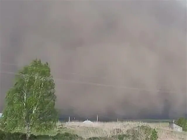 Бури 31 августа 2024