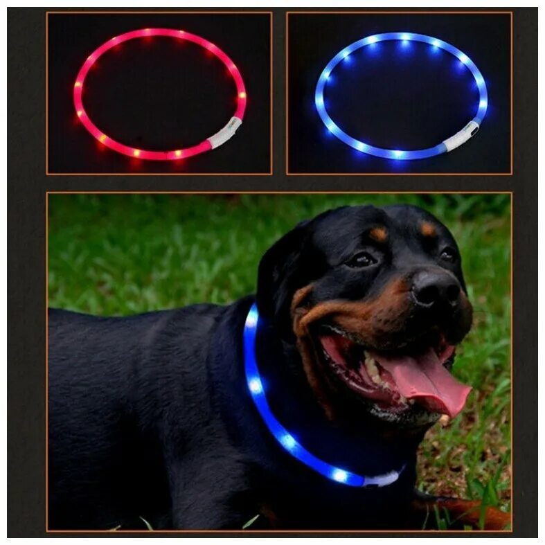 Ошейник коллар светодиодный. Светящийся ошейник для собак с usb зарядкой. Светящийся ошейник для собак с usb зарядкой. Ошейник светодиодный night city красный xl, 25*510-610мм. Светящийся ошейник для собак с usb зарядкой.