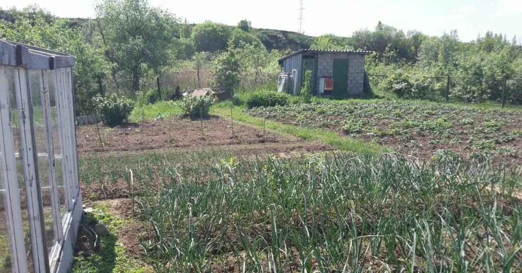 Погода снт пески. Снт лазурный берег калужской обл. Погода снт пески. Погода снт пески. Погода снт пески.