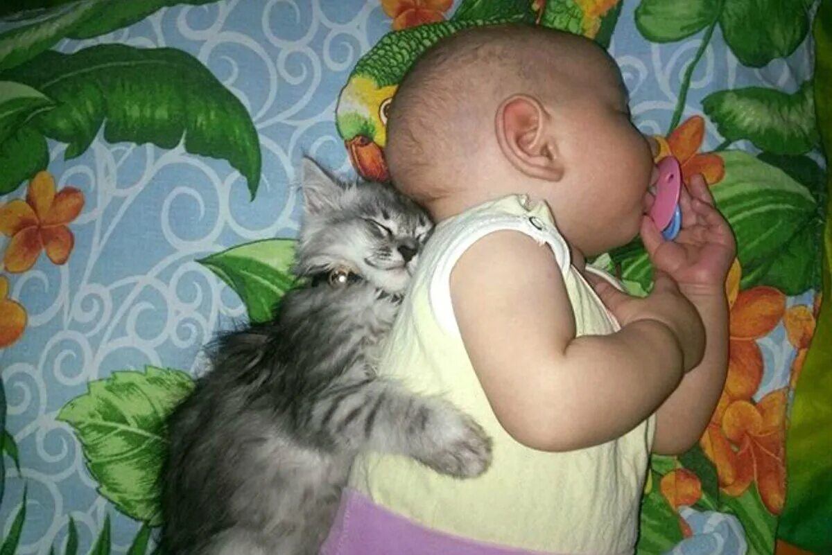 Кот спавший ребенка. Смешные котята для детей. смешные картинки про детей с надписями. кошки приколы для детей. дети и животные смешное с надписями.