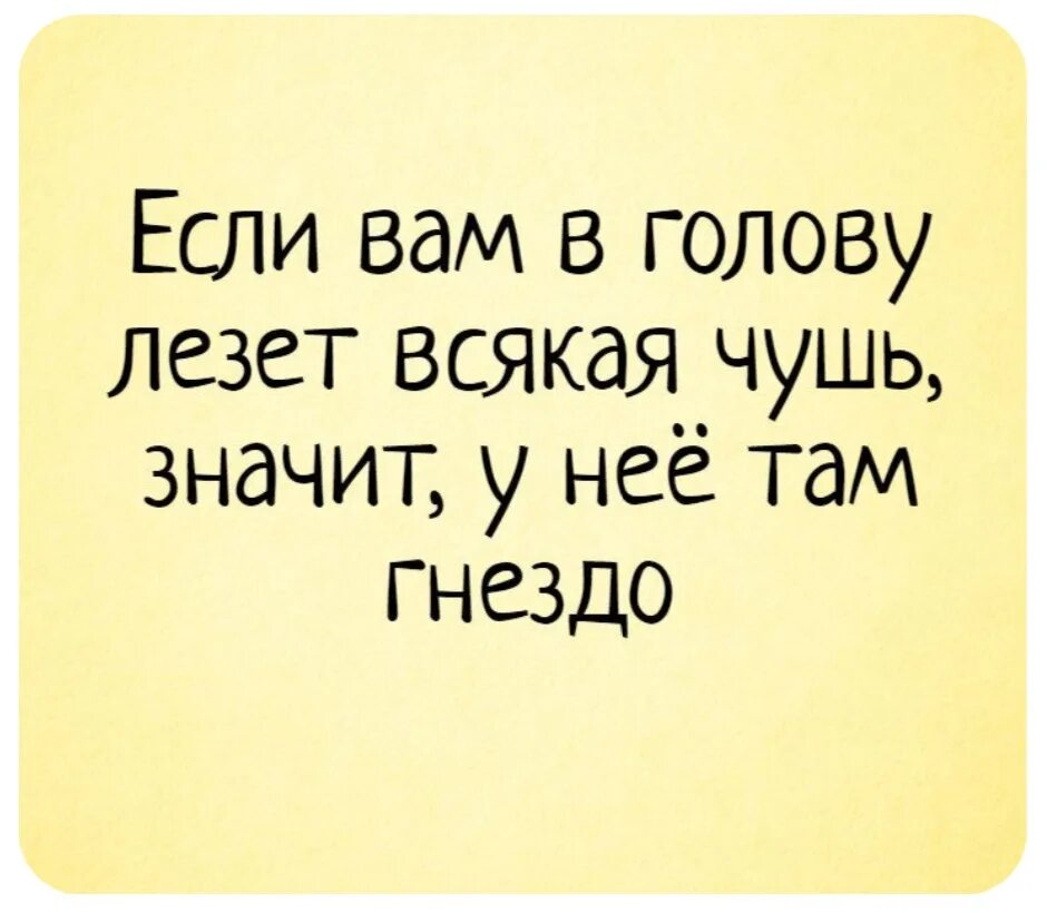 Почему несут чушь. Если вам в голову лезет всякая чушь значит у неё. Анекдоты про мысли в голове. Плохие мысли лезут в голову. Высказывания лезут мысли в голову всякие.