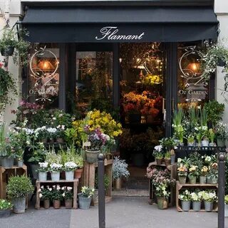 Европейские Магазины Цветов 