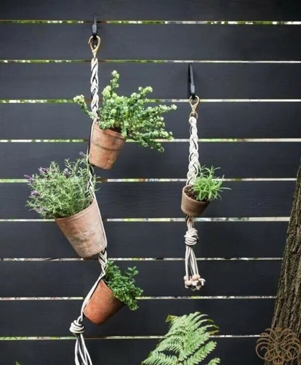 Что можно подвесить. Фоторамки на кухне в интерьере. Подвесные кашпо в саду. Стена с фотографиями в интерьере. Украшение для стены в комнате.