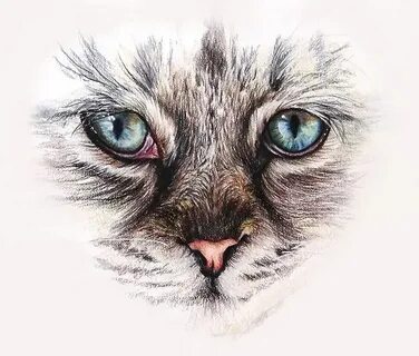 Глаза котенка нарисовать