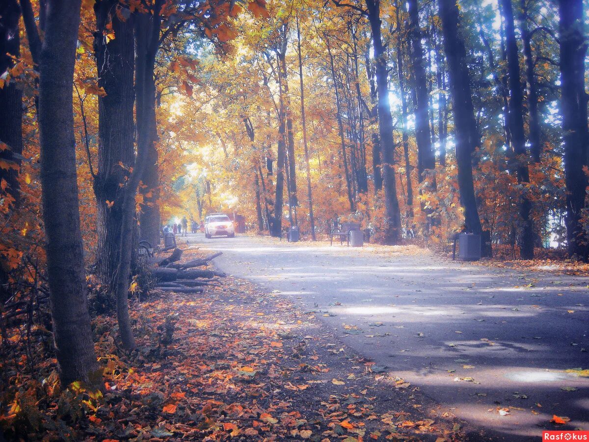 Осенью 2019 года. Осенняя фотосессия в парке. Осенняя съемка в парке. Фото осенью. Фото с парком осенним.