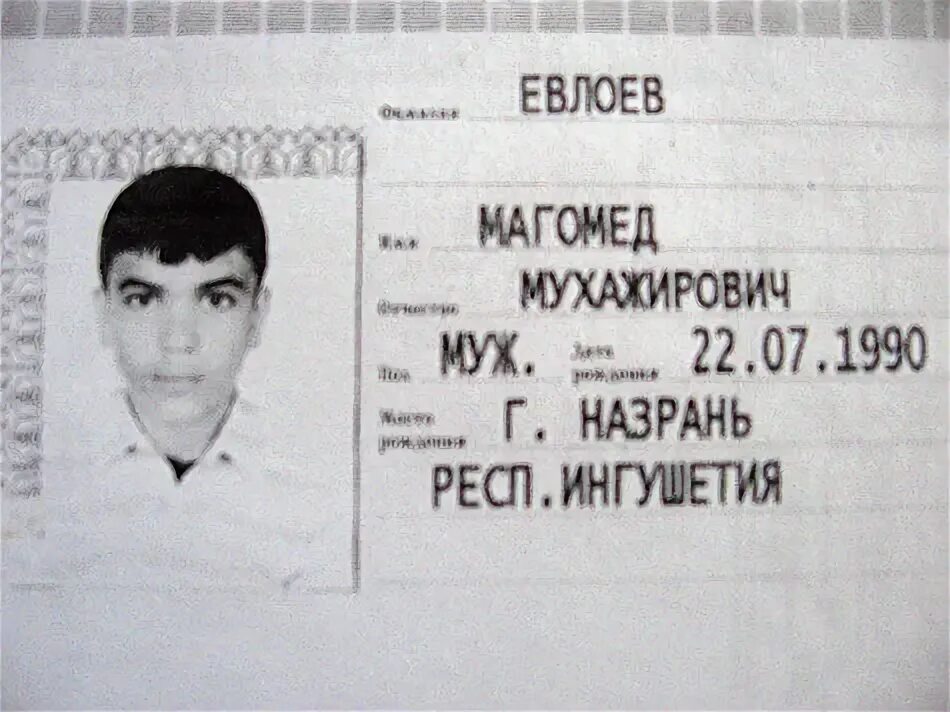 Домодедово террорист евлоев. Магомед евлоев домодедово. Магомедов надпись. Магомедова фамилия какой. Мгу кештов мухамед.