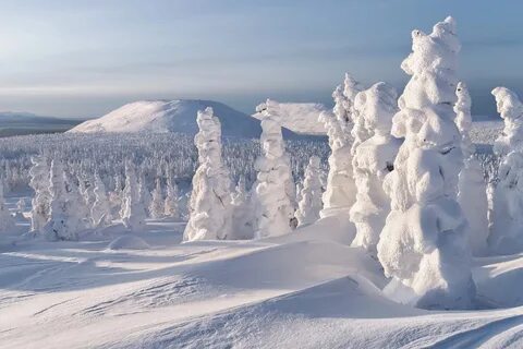 Ледяной край