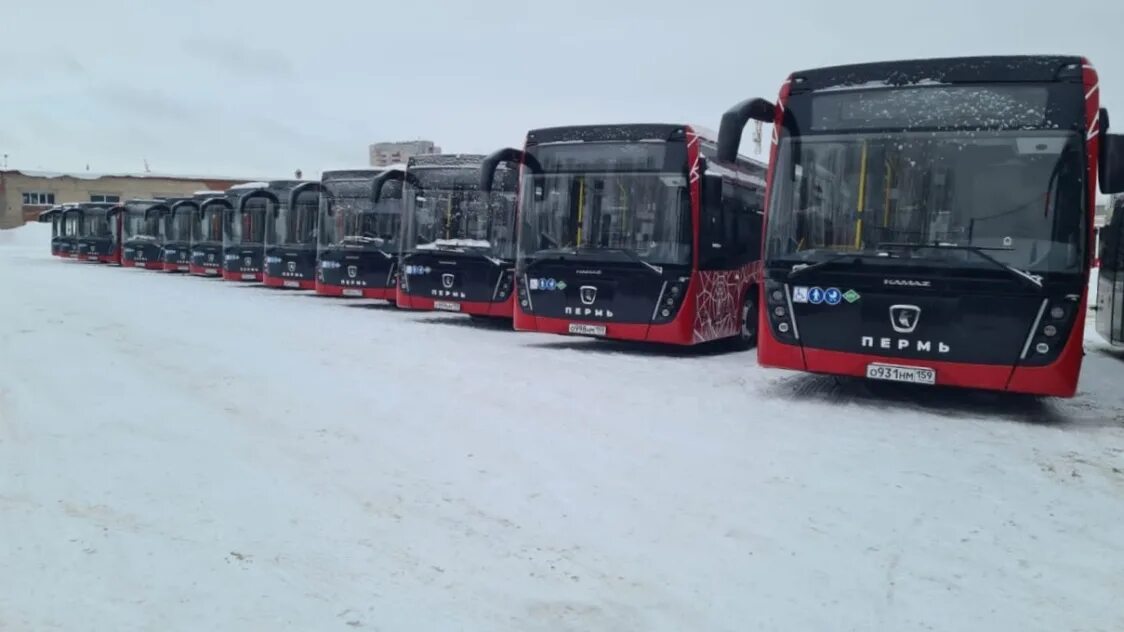 Пермский автобус 2022. 17 автобус пермь. Автобусы пермь. Volgabus пермь. Транспорт пермь.