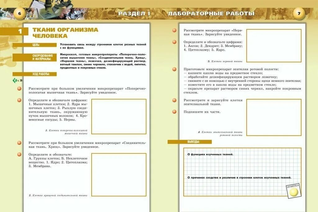 Тетрадь для практических работ 1. Тетрадь - практикум по биологии 8 класс Сухорукова Просвещение. Тетрадь практикум по биологии 8 класс Сухорукова 1 лабораторная. Биология 9 класс Сухорукова тетрадь практикум. Биология 8 класс рабочая тетрадь Сухорукова практикум.