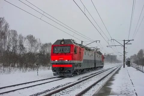 Новородниковый новосибирск главный