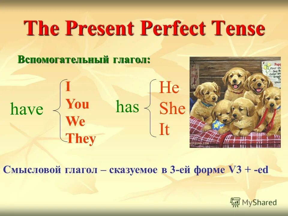 3 форма глагола в английском present perfect. Present perfect continuous слова указатели. Perfect вспомогательные глаголы. Present perfect simple маркеры времени. Present perfect вспомогательные.