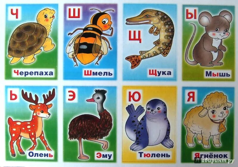 В названии лесного зверька две буквы. Азбука животных. Азбука с животными для малышей. Азбука животных в картинках. Алфавит животные.