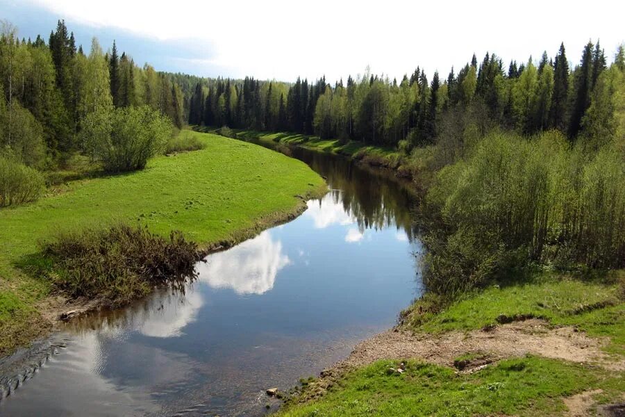 Река Когель Республика Коми. Реки Коми края. Республика комиghbhjlf. Щугор река скалы. Россия респ коми