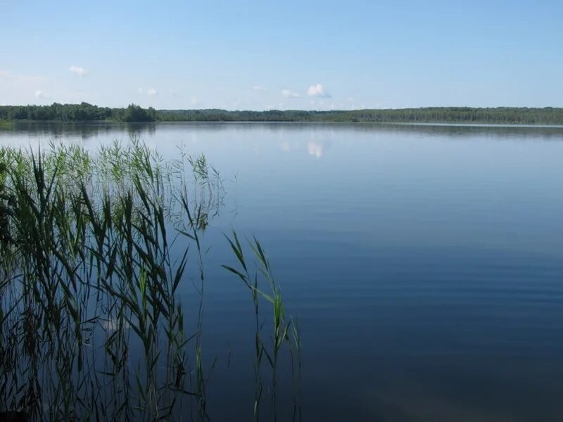 Купить озеро тверская область. Озеро лобно. Озеро лобно Тверская область. Озеро великое Тверская область. Марьино Калужская область озеро.