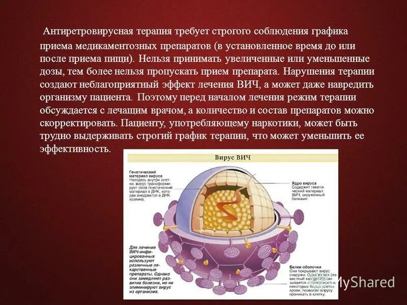 Антиретровирусная терапия во время беременности. Антиретровирусная терапия во время беременности