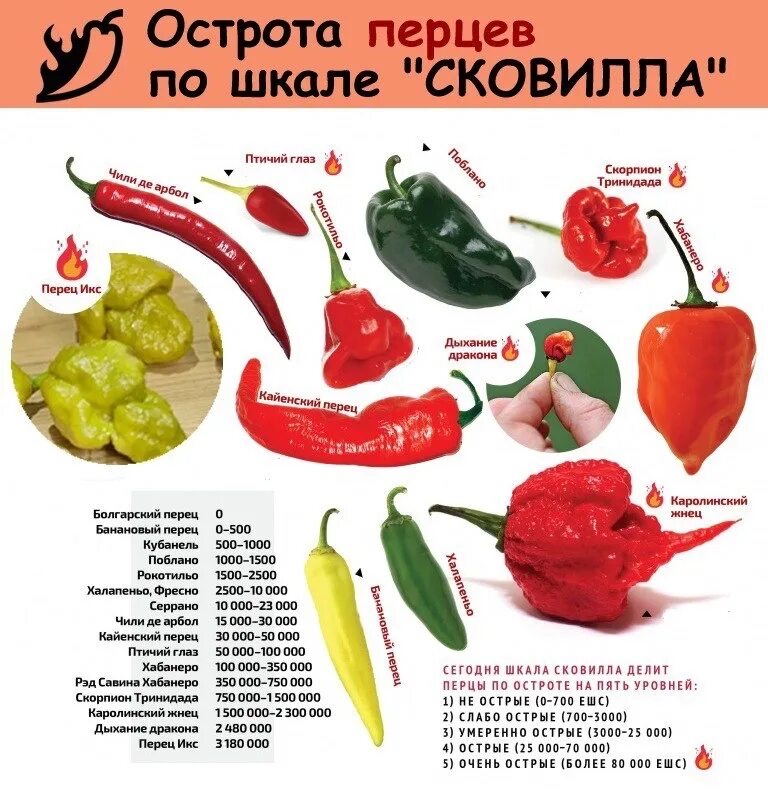 Самые острые перцы в сковиллях. Перец халапеньо шкала сковилла. Таблица остроты перцев сковилла. Сорта перцев по шкале сковилла. Каролинский жнец сковилла.