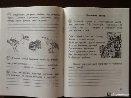 Прочитайте строки из стихотворения осинка зябнет