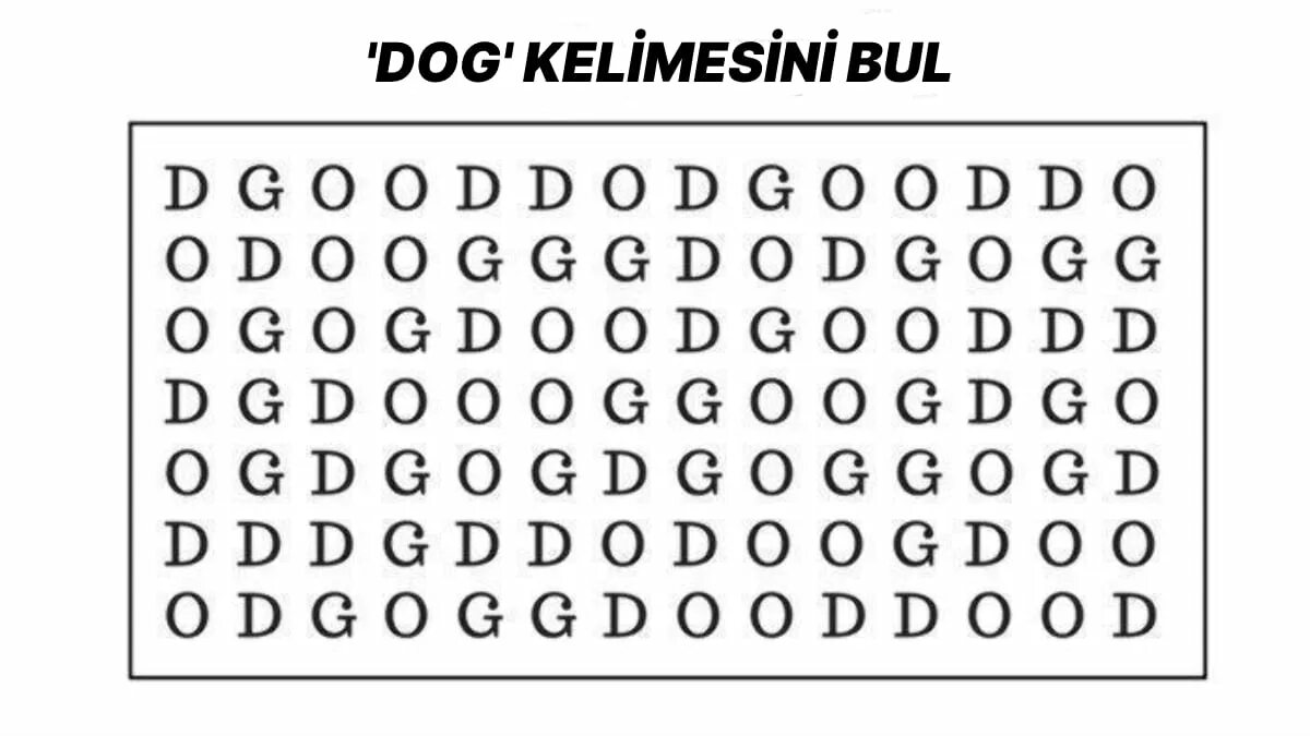 Игра слов собаки. Wordsearch Dogs. "Найди слово Dog". Dog Wordsearch the Dogs in this Word search. Find the Word Dog.