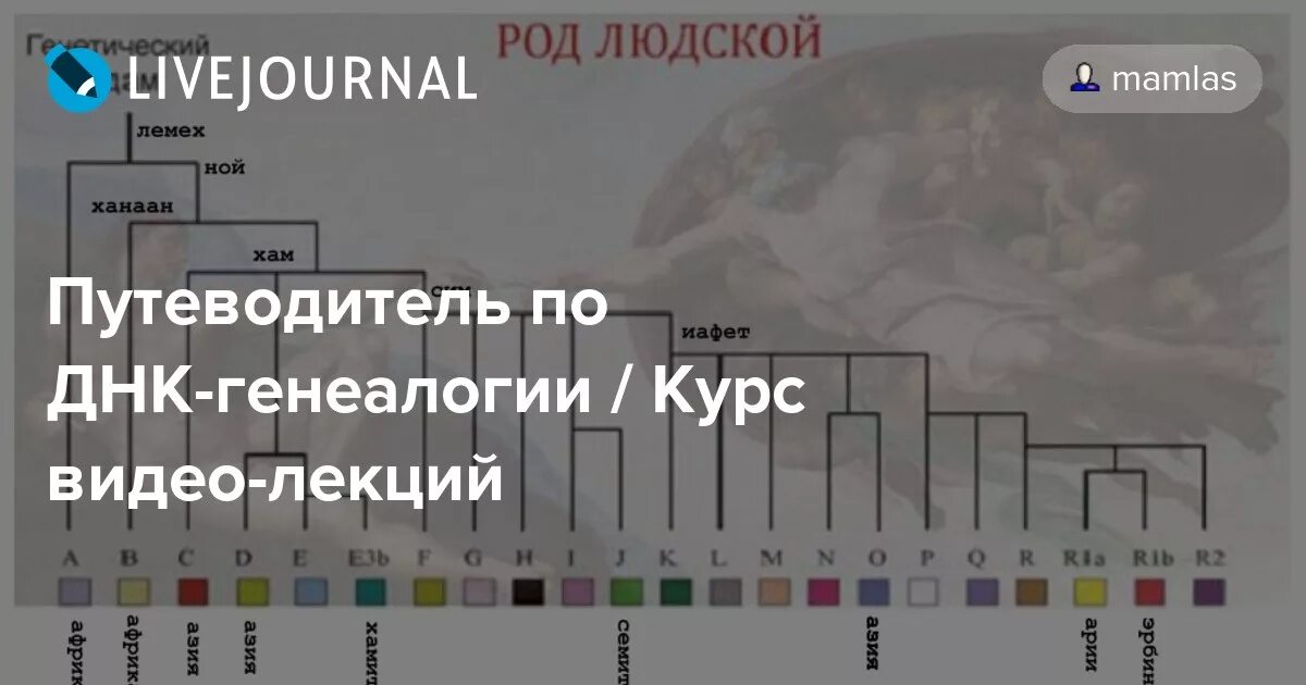 днк генеалогия тест цена. сайт днк генеалогии. днк генеалогия клесов. днк родословная. сайт днк генеалогии.