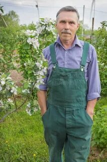 Сады садоводов любителей