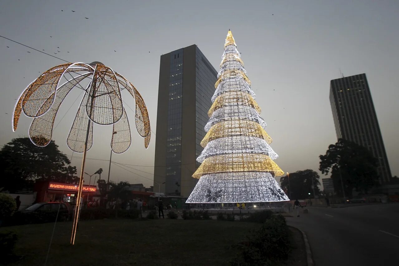 дизайнерские елки. новогодняя елка в бразилии. огромная елка. самая красивая елка в мире. самые необычные елки в мире.