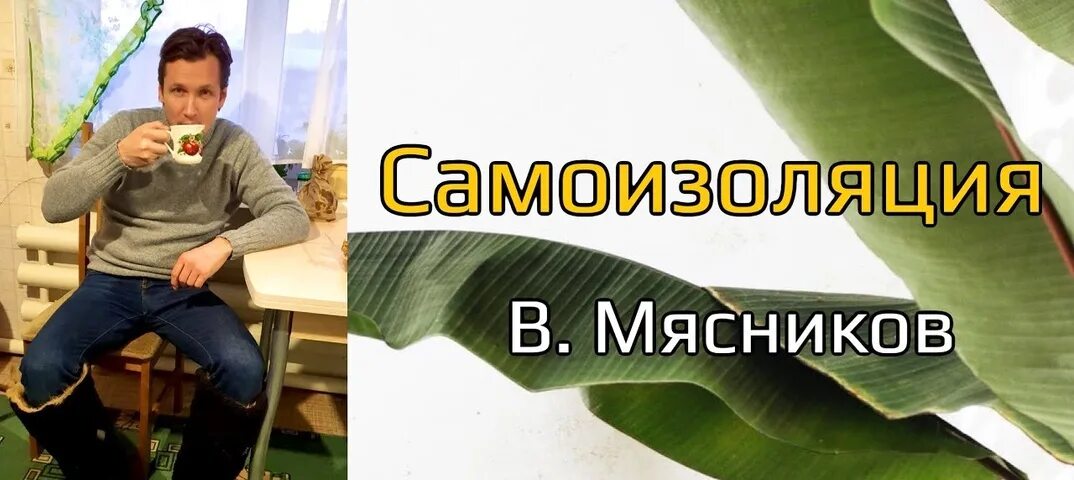 Песни в изоляции. Мясников 2020.